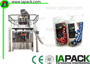 Cranberries vorgefertigte Beutelverpackungsmaschine automatisches Kontrollsystem